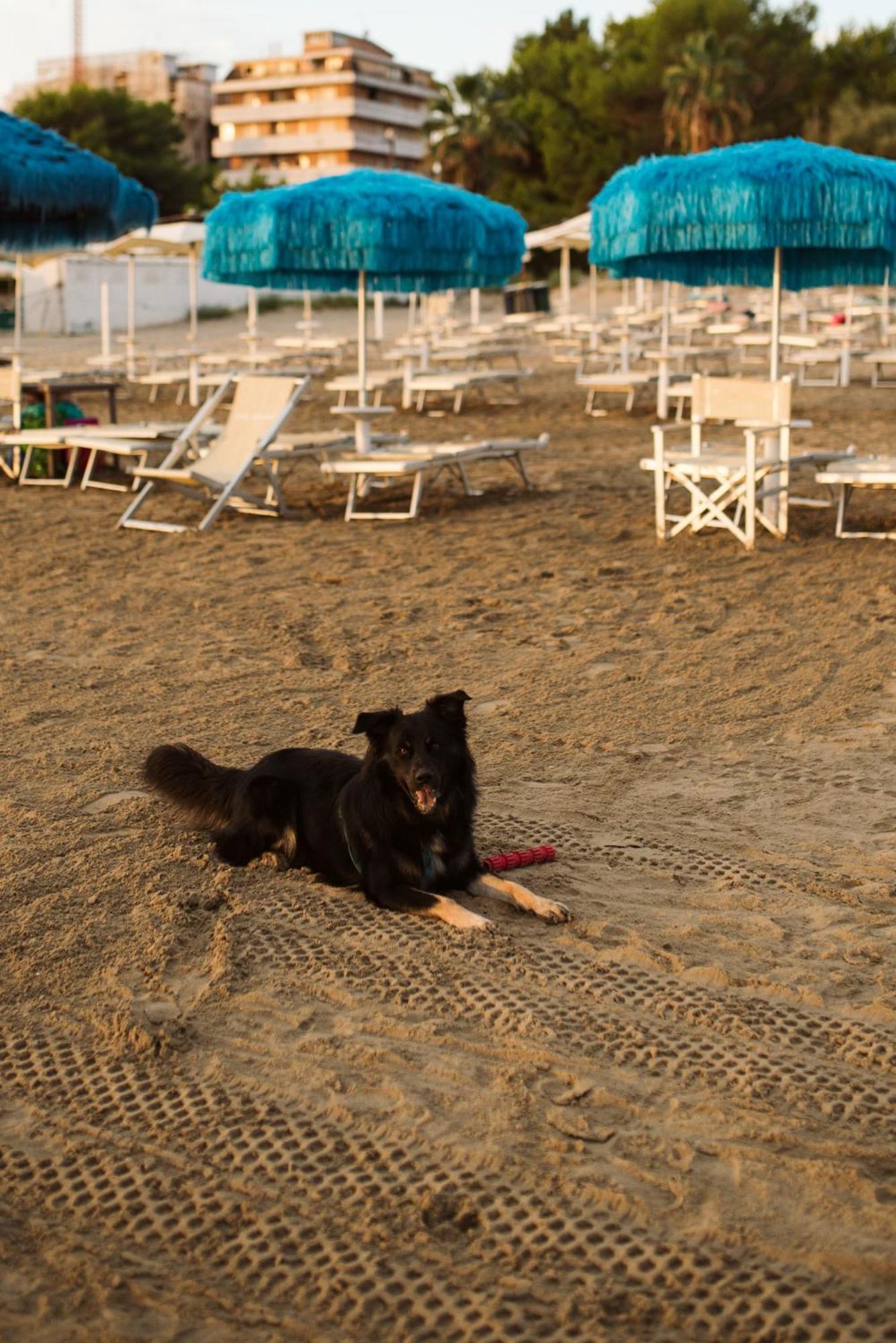 Hotel Antagos Montesilvano Marina Dış mekan fotoğraf
